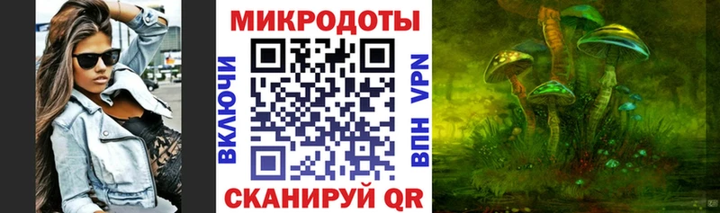 что такое   Кулебаки  Галлюциногенные грибы ЛСД 